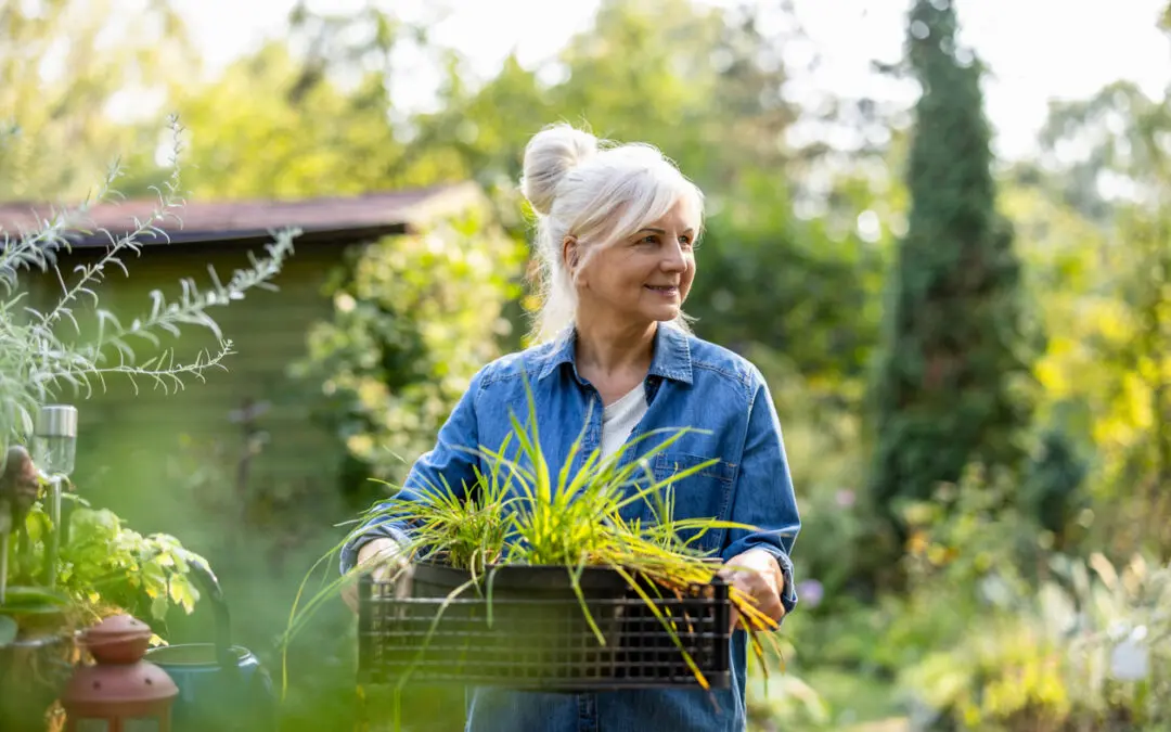 Independent Living in Youngtown: A Lifestyle Designed for Freedom, Comfort, and Connection