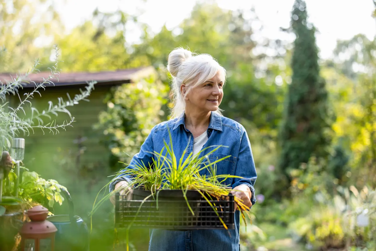 Senior woman working in her garden on a sunny day independent living in Youngtown