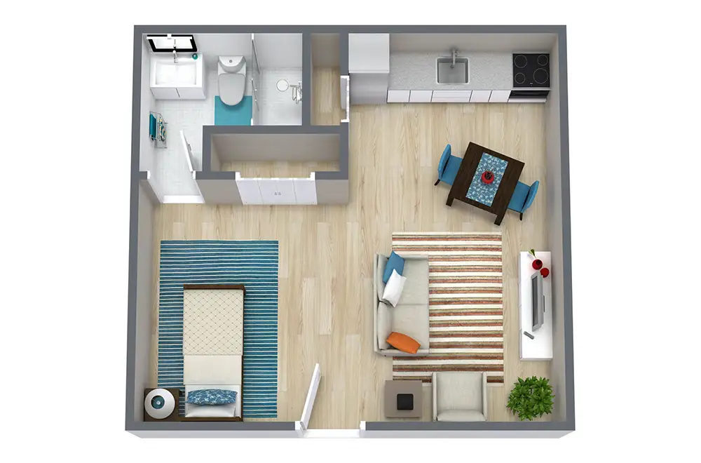 Independent Living<br />Studio Deluxe